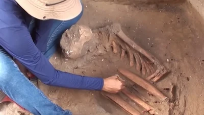 Phát hiện 40 hài cốt cổ trong nghĩa trang 10.000 năm tại Brazil