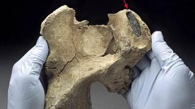 ADN tiết lộ cộng đồng thổ dân vô danh tồn tại 8.500 năm trước