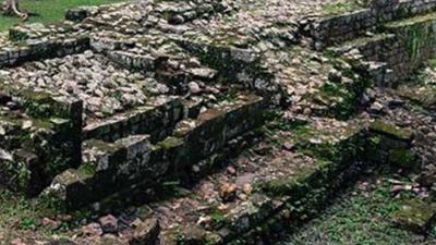 Phát hiện di tích cổ dưới rừng rậm Ecuador nhờ công nghệ tiên tiến