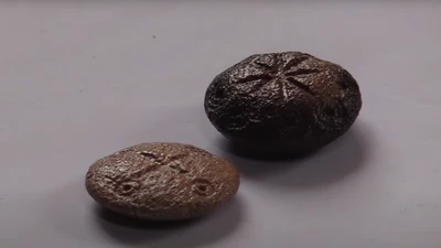 Khám phá bí ẩn sau hai món đồ bằng xương ẩn chứa lịch sử La Mã