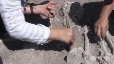 Mộ cổ 7.600 năm chứa thi thể phụ nữ và xương cừu tại Thổ Nhĩ Kỳ