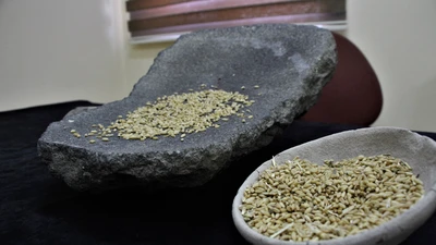 Vật thể cổ đại 2.700 năm tuổi được khai quật tại lâu đài Çavuştepe