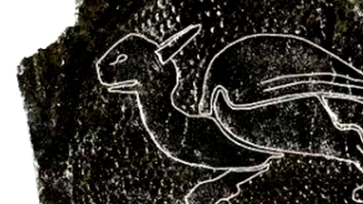 Cổ vật độc đáo từ York: tấm da trang trí hình rồng cổ đại