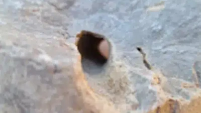 Vật thể kỳ lạ giúp làm sáng tỏ quá khứ tiền sử