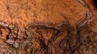 Khám phá hang động cổ chứa tranh khắc lợn rừng từ thời kỳ Đồ Đá Cũ