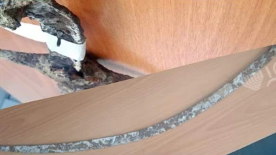 Thanh kiếm kỵ binh lưỡi cong thế kỷ 12 hé lộ bí ẩn chiến trận