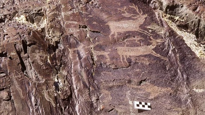 Bản khắc đá hình nai cổ đại tại Mông Cổ qua 12.000 năm