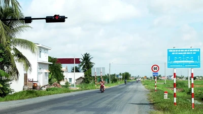 Gói thầu cây xanh 5,4 tỷ tại ĐT.830C: Ba nhà thầu cạnh tranh quyết liệt