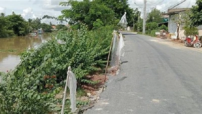 Điều chỉnh E-HSMT An Giang: Từ kiến nghị kỹ thuật đến cuộc đua 3 nhà thầu