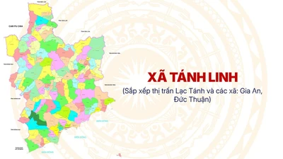 Từ chuỗi trúng thầu 100% tại Tánh Linh: Cần nâng cao trách nhiệm giải trình [Kỳ 3] 