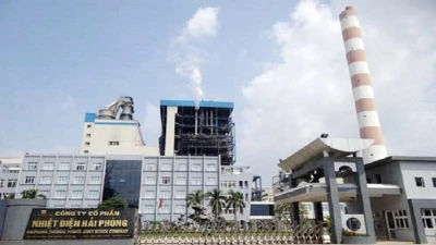 Đấu thầu tại Nhiệt điện Hải Phòng: Nhà thầu bỏ giá thấp kỷ lục liệu có về đích?