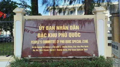 Hy hữu đấu thầu tại đặc khu Phú Quốc: Nhầm hướng đi Sơn La, nhà thầu giá thấp bị loại [Kỳ 1]