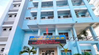 Những "sân nhà" đặc biệt của Công ty Tư vấn xây dựng Thủy lợi 3 [Kỳ 2]