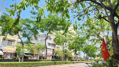 TP HCM: Cây phượng bật gốc chắn ngang đường Phạm Huy Thông sáng mùng 6 Tết
