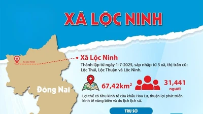 Đồng Nai: Công ty Tư vấn Xây dựng Hoàng Sang "độc diễn" gói thầu 11 tỷ