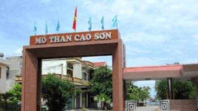 "Giải mã" năng lực trúng thầu của Công ty Trường Sa tại Quảng Ninh [Kỳ 2]