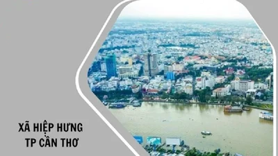 Cần Thơ: Xã Hiệp Hưng chỉ định thầu gói xây lắp hơn 1,6 tỷ đồng cho Xây dựng Ngọc Sương