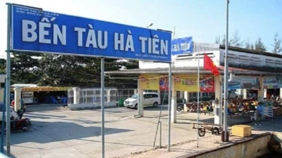 Đấu thầu rộng rãi: Vì sao Âu Lạc liên tục "một mình về đích"? 