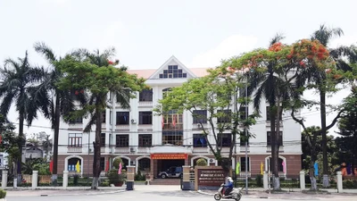 Thăng Long Việt và dấu hỏi về mức tiết kiệm 35% tại gói thầu mầm non Tuyên Quang [Kỳ 1] 