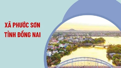 Nghịch lý đấu thầu tại Đồng Nai: Một mình một chợ, nhà thầu Trường Thành trúng thầu sát giá [Kỳ 1]