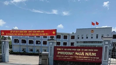 Bí ẩn nhà thầu "bách chiến bách thắng" Ngọc Yến tại các gói thầu chỉ định ở Cần Thơ