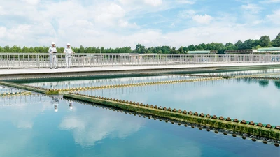 Cần minh bạch khâu chấm thầu kỹ thuật tại Công ty Cổ phần Cấp nước Đồng Nai [Kỳ 3] 