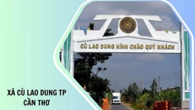 Công ty Cổ phần Xây dựng 9 "mở bát" năm 2026 bằng loạt gói thầu tiền tỷ [Kỳ 1]