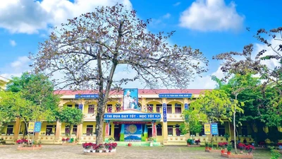 Nội thất Trí Dũng "thắng lớn" gói thầu thiết bị giáo dục tại xã Suối Hai với giá giảm sâu 