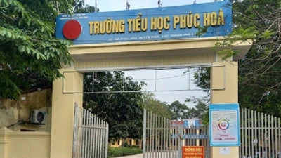 Công ty Mỹ Giang trúng 18/19 gói thầu: Giải mã hiện tượng tiết kiệm 0 đồng năm 2025