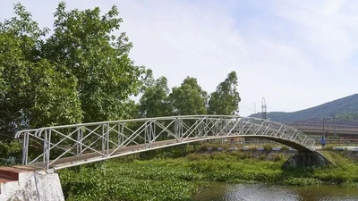 Quy trình chỉ định thầu "siêu nhanh" tại Chi cục Thủy lợi thành phố Cần Thơ [Kỳ 1]