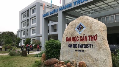 Trúng thầu giá thấp: Bài toán giữa tiết kiệm ngân sách và chất lượng công trình [Kỳ 3]