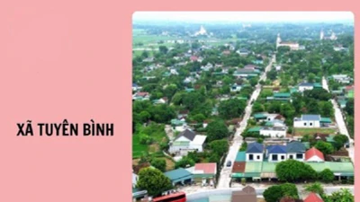 Tây Ninh: Công ty Thành Đức L-A và dấu hỏi tính cạnh tranh trong đấu thầu [Kỳ 2]