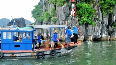 Vịnh Hạ Long: Một nhà thầu "độc diễn" gói thu gom rác hơn 7 tỷ đồng năm 2026