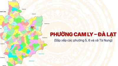 Nhà thầu "ruột" trúng gói thầu gần 2 tỷ đồng tại phường Cam Ly Đà Lạt tiết kiệm thấp [Kỳ 1]