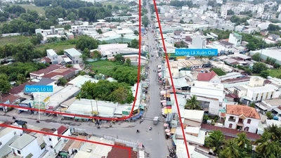 Gói thầu cây xanh 831 triệu: Mở thầu chỉ có 1 nhà thầu sau 2 lần điều chỉnh HS