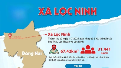 Công ty Hoàng Sang: Thắng sát nút gói thầu 11 tỷ đồng tại xã Lộc Ninh [Kỳ 1]