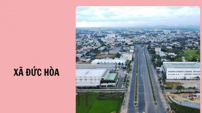 Xã Đức Hòa: Gói thầu đường Chùa Pháp Thạnh đối thủ bị loại, lộ diện nhà thầu quen