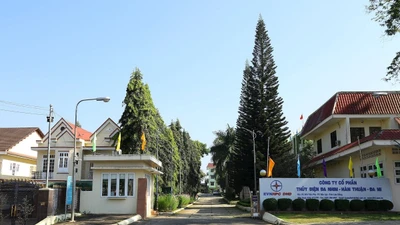 Thủy điện Đa Nhim - Hàm Thuận - Đa Mi: Cạnh tranh tại gói thầu vệ sinh cảnh quan