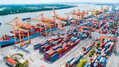 “Soi” năng lực Công ty Thương mại Gia Bảo A.B qua những gói thầu trăm tỷ tại TP HCM [Kỳ 1]