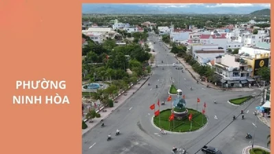 "Kỷ lục" đấu thầu tại Ninh Hòa: Công ty An Thịnh cứ đấu là trúng [Kỳ 1]