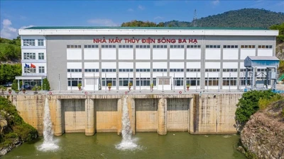 Nhìn lại năm 2025 của nhà thầu S5T Việt Nam: Trúng thầu sát giá và ‘duyên nợ’ các ông lớn ngành điện [Kỳ 2] 