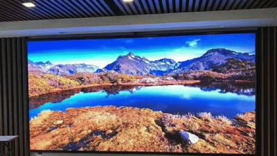 Gói thầu 'cấp bách' 8,5 tỷ ở Cà Mau: Vì sao Trương Mỹ Kim được chỉ định thầu?