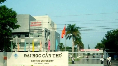 Công ty Phi Long và "duyên" trúng thầu tại Trường Đại học Cần Thơ: Năng lực vượt trội?
