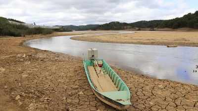 Gói thầu 82 tỷ đồng tại QLDA khu vực Lộc Ninh: Công ty Lũng Lô 2 bỏ thầu thấp hơn 5 tỷ đồng