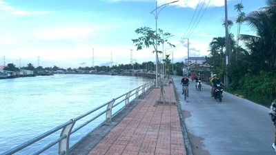 Giải mã năng lực nhà thầu Nguyễn Phát: Doanh nghiệp siêu nhỏ và những dự án trăm tỷ [Kỳ 2]