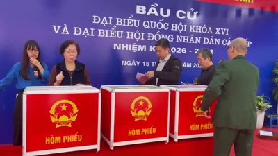 380 xã, phường và khu vực bỏ phiếu hoàn thành việc bỏ phiếu bầu cử