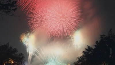 Chào Xuân Bính Ngọ 2026