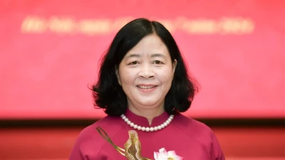 Tiểu sử tóm tắt bà Bùi Thị Minh Hoài, ứng cử viên ĐBQH khóa XVI 