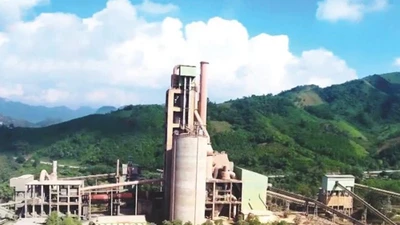 TTCP chỉ loạt sai phạm tại dự án nhà máy xi măng Quang Sơn