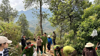 Công an Lào Cai chung sức đổ bê tông, làm đường cùng người dân